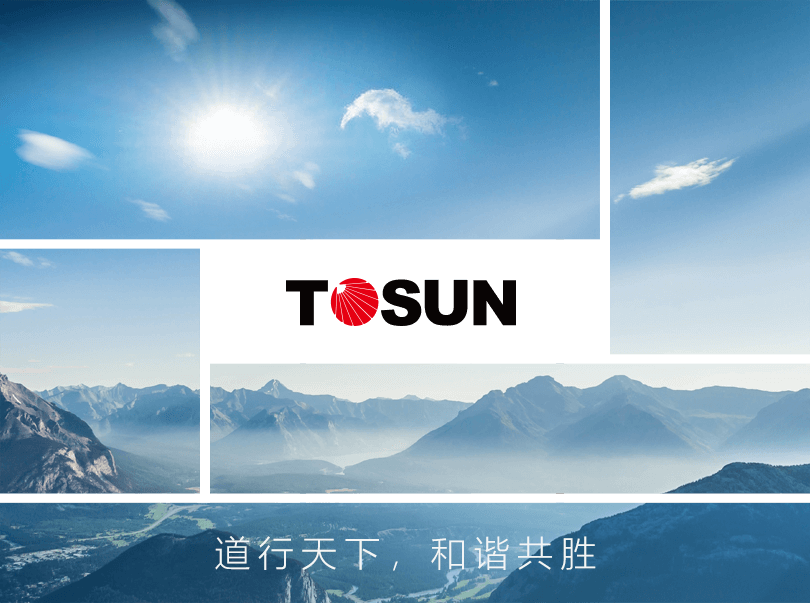 公(gōng)司簡介